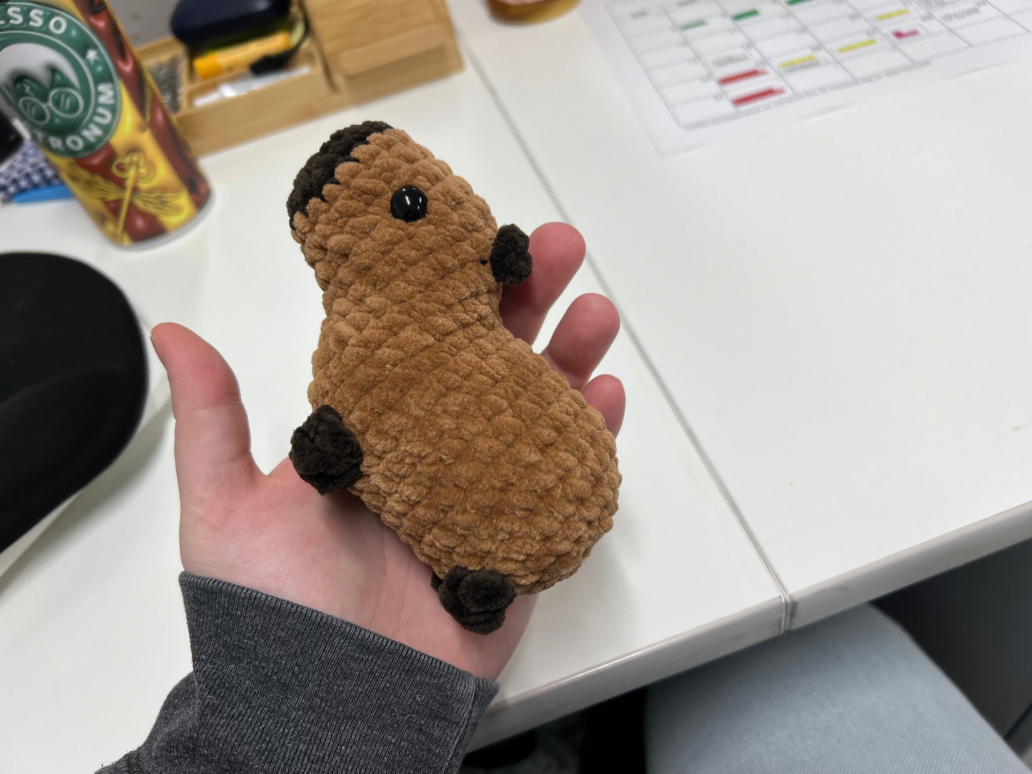 Capybara Plushie