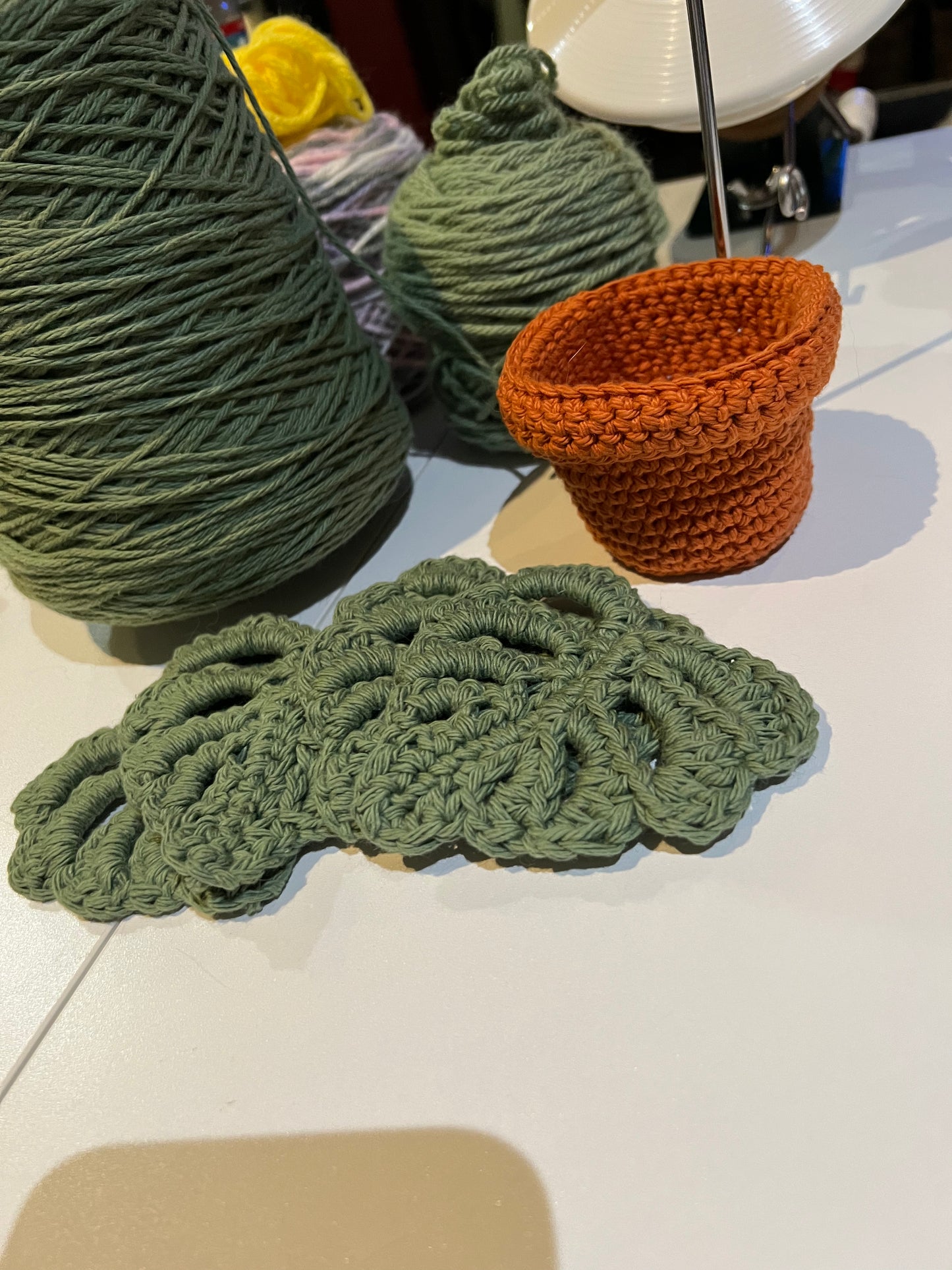 Monstera Leaf Coasters