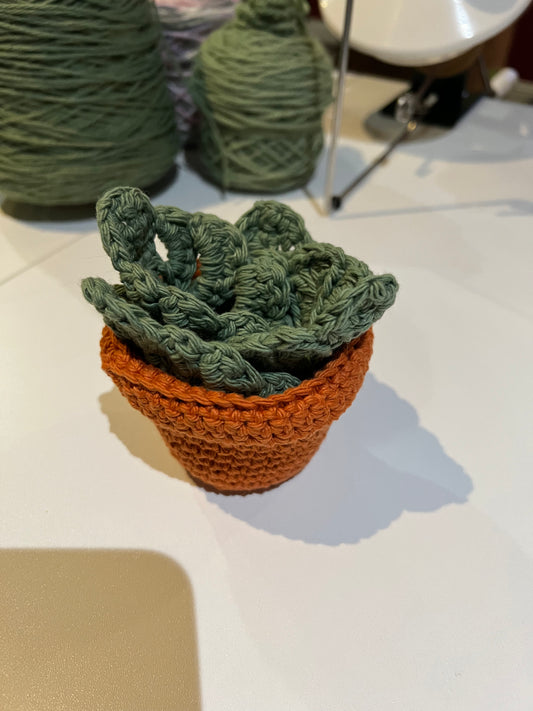 Monstera Leaf Coasters