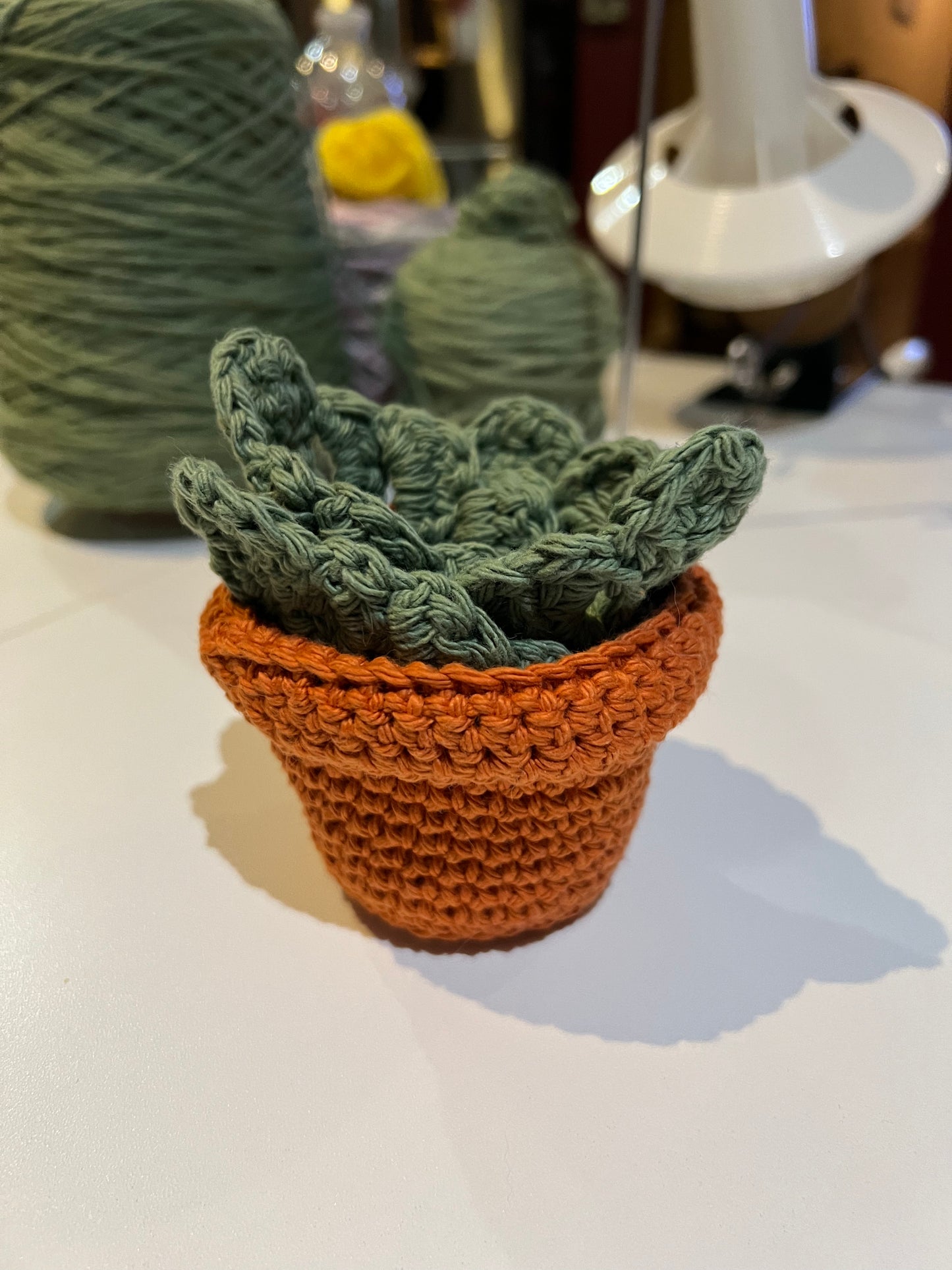 Monstera Leaf Coasters