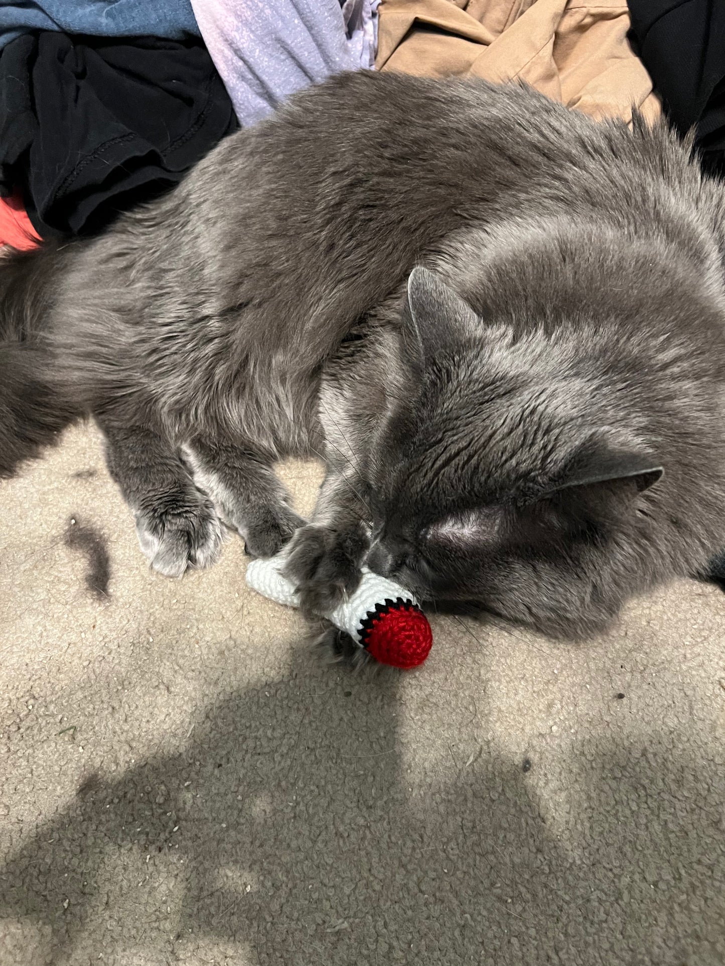 Catnip Joint Toy
