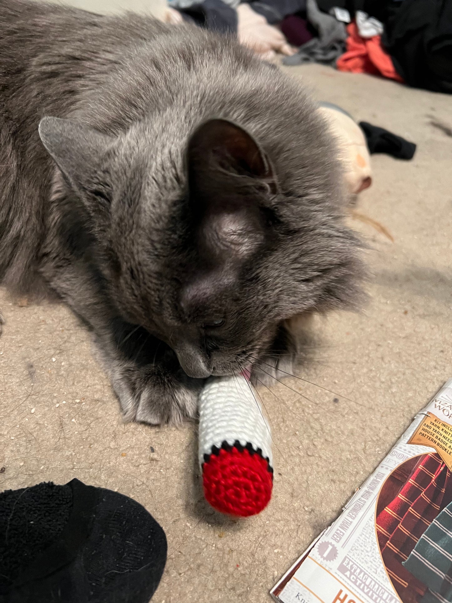 Catnip Joint Toy