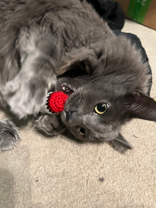 Catnip Joint Toy