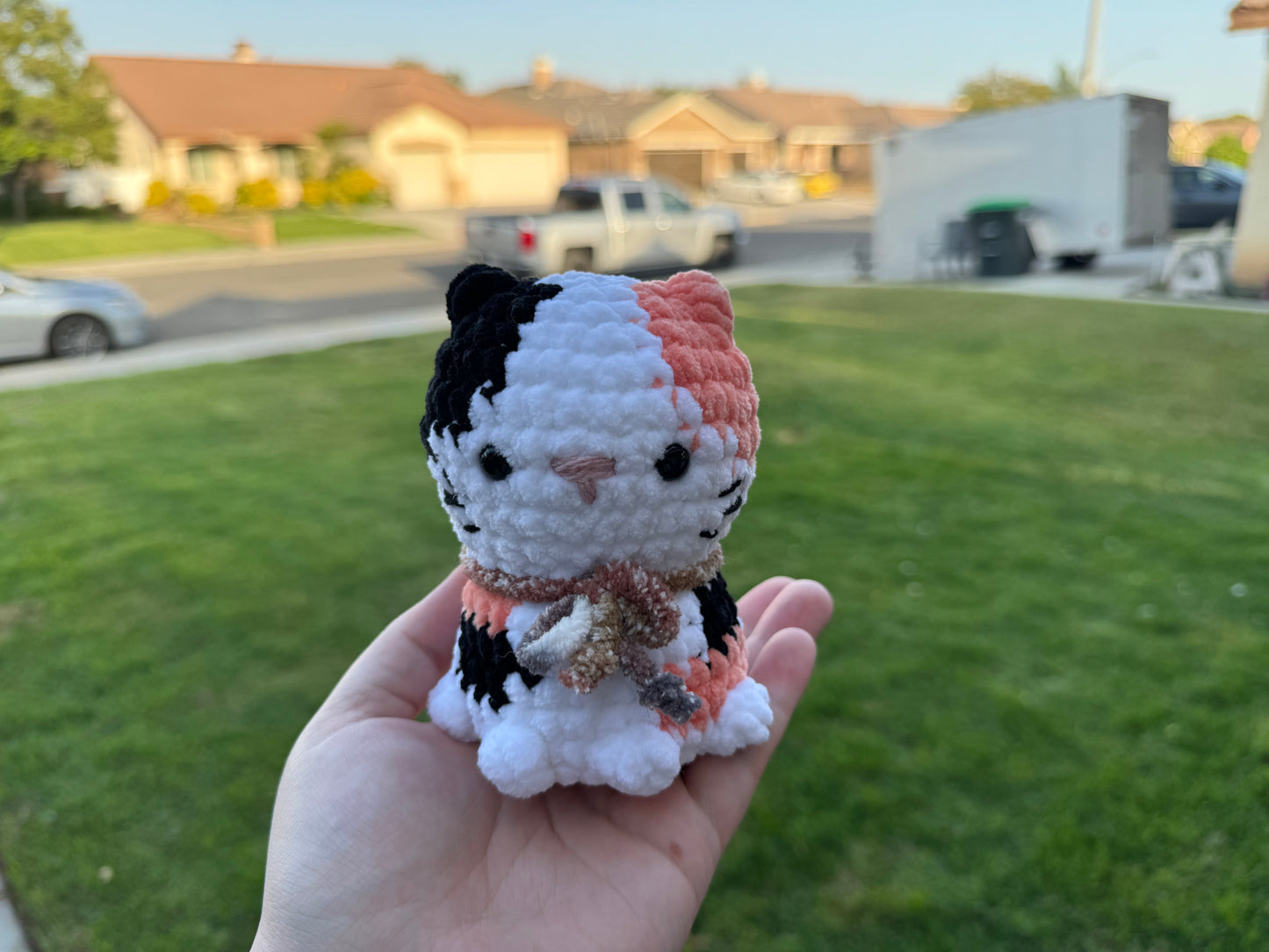 Cat Plushie