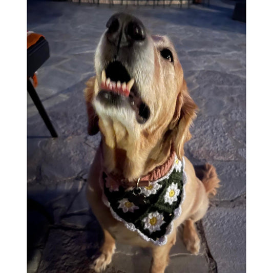 Daisy Dog Bandana