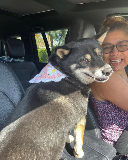 Daisy Dog Bandana